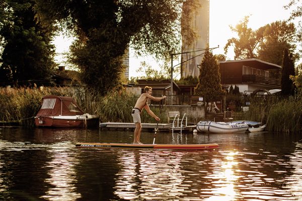 Ein Mann auf einem Stand up Paddle auf der alten Donau