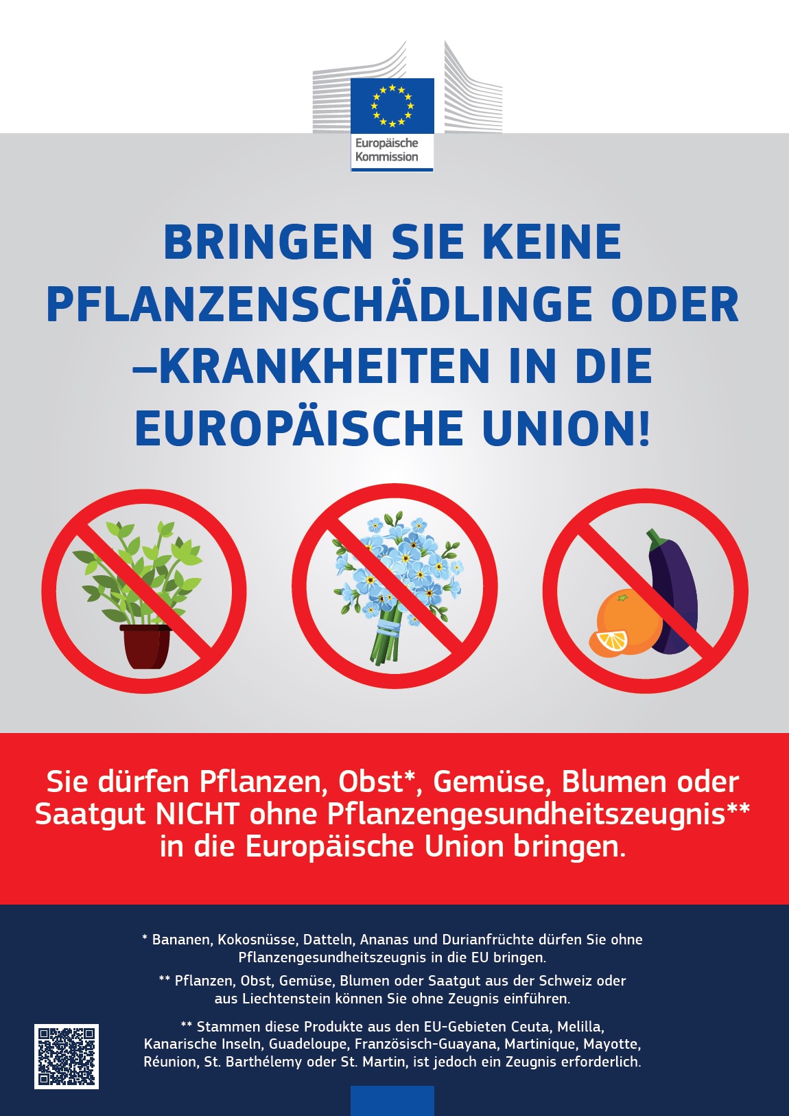 Poster Pflanzen, Pflanzenteile, Obst, Gemüse, Blumen und Saatgut