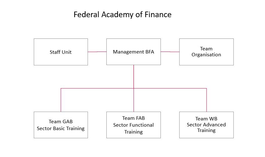 BFA- Organigram